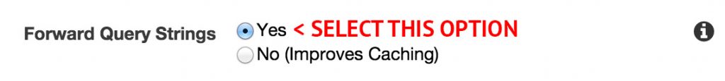 AWS Forward Query Strings SEO